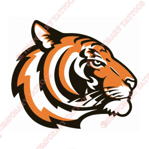 Princeton Tigers Customize Temporary Tattoos Stickers NO.5925
